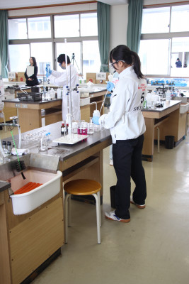 試料処理の様子