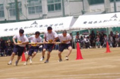 IMGP3219