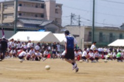 IMGP3242