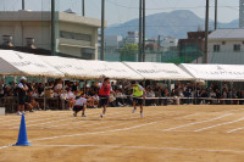 088A6461