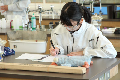 測定結果報告書作成（伊井）