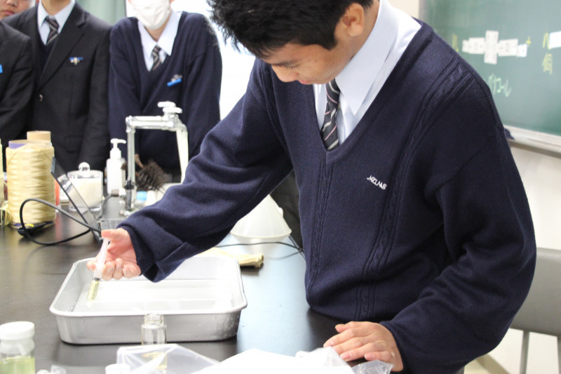 燃焼実験の様子１